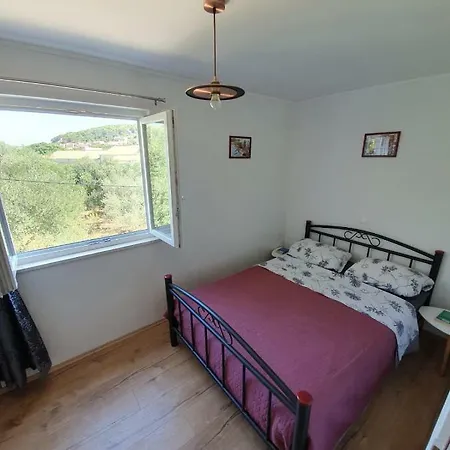 Modern Spacious Brand New In !! Apartment
